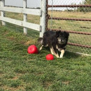 Meet your Posher, Jackie